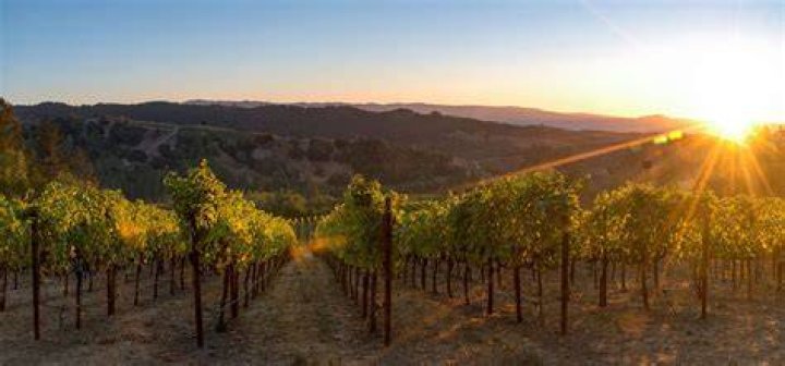 Are Napa wineries open in the winter?