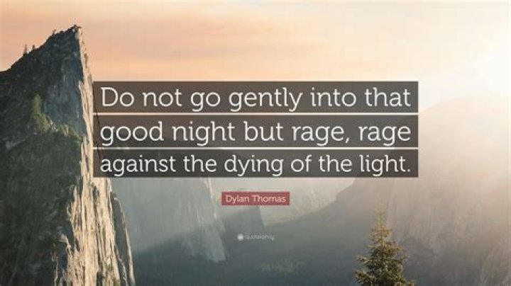 Do not go gentle into that good night rage rage against the dying of the light meaning?