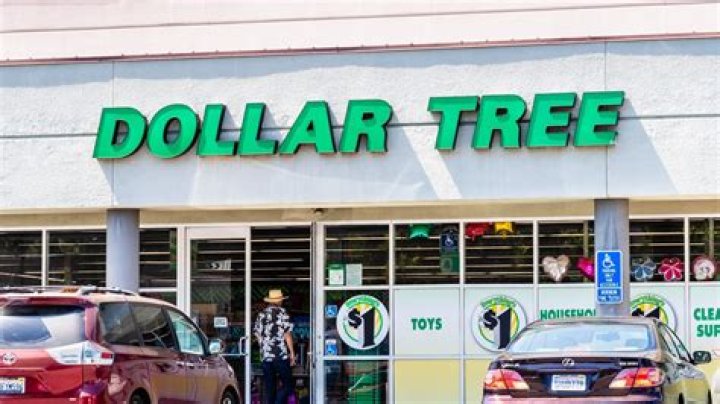 Does Dollartree sell bungee cords?