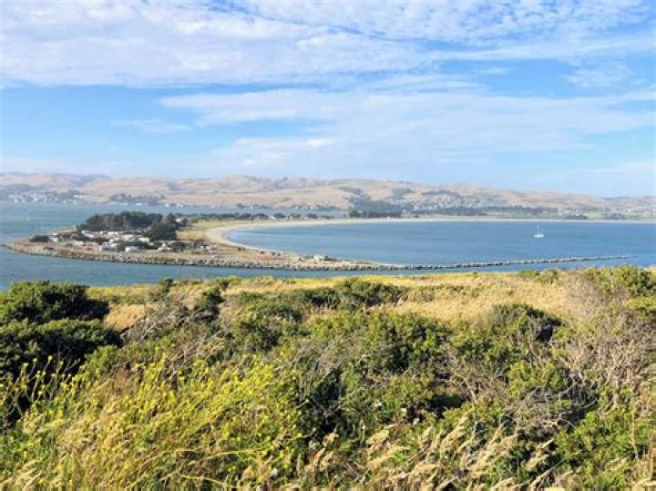 How far is Dillon Beach from Bodega Bay?