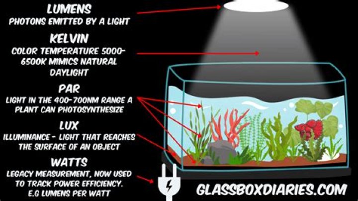 How many lumens do aquarium plants need?