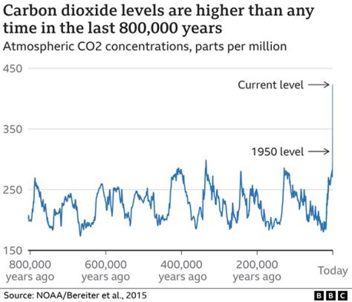 How much co2 is removed by our lungs?