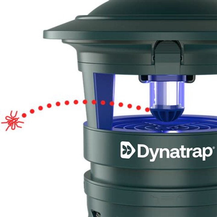 How often do you empty a DynaTrap?