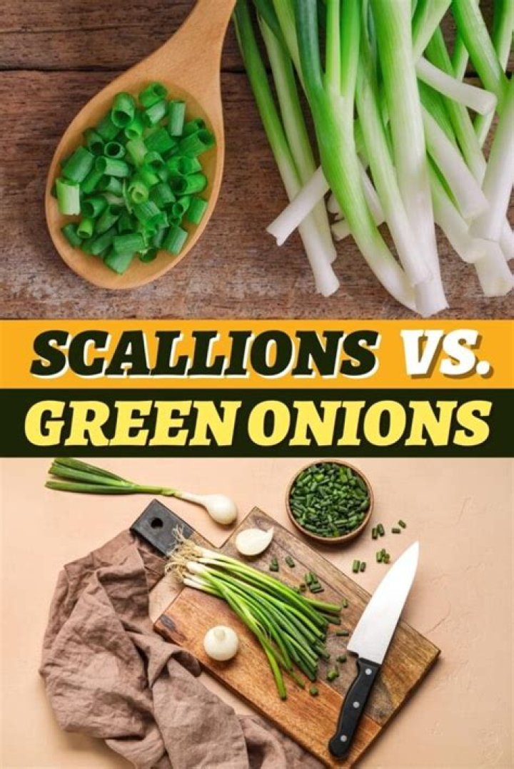 Is scallion and green onions the same?
