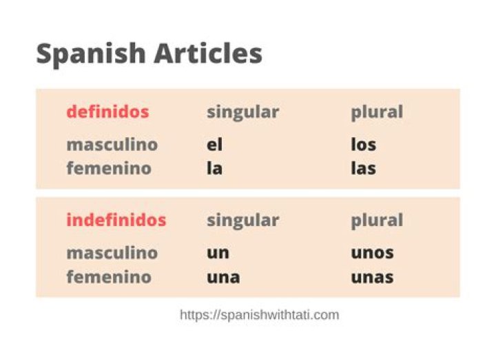 What are all the definite articles in Spanish?