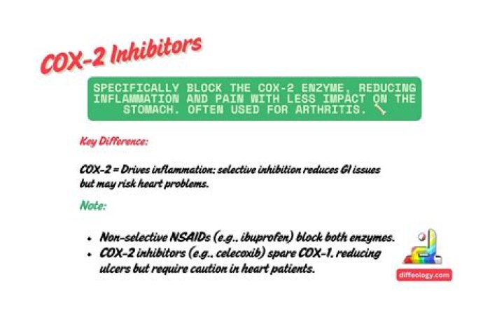 What are Cox 2 inhibitors?
