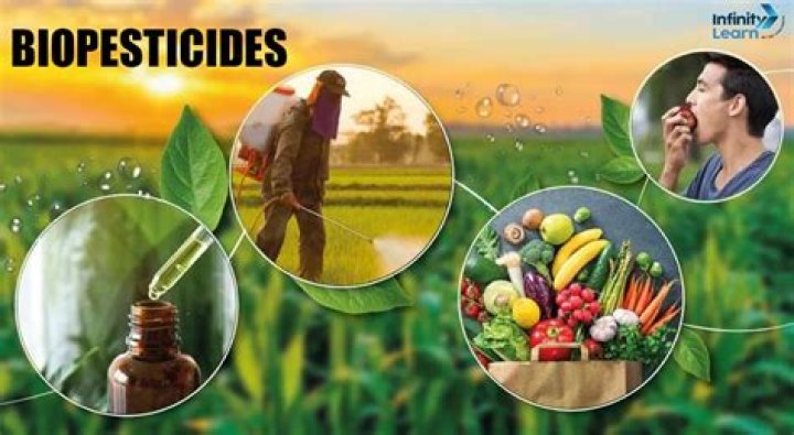 What is the meaning of bio pesticides?