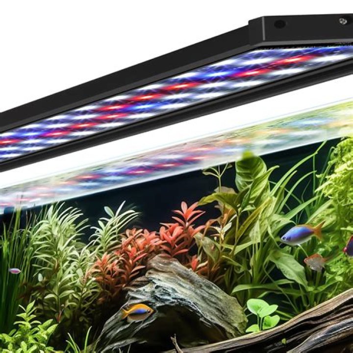 What lights are best for aquarium plants?