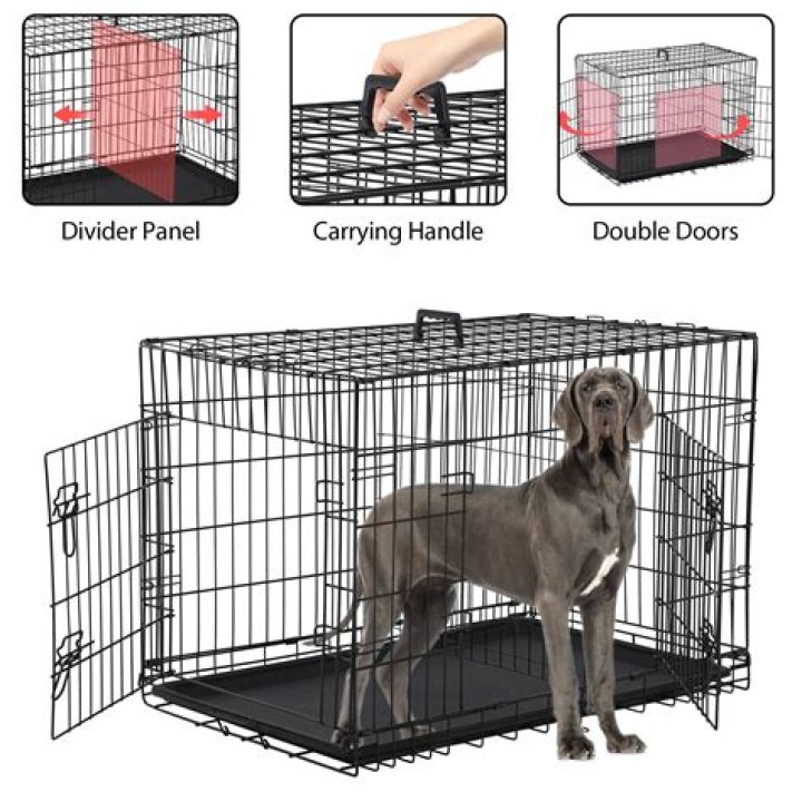 Where should I put my puppy's crate at night?