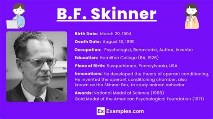 Who was BF Skinner and what did he invent?