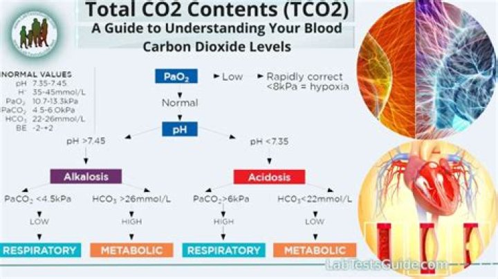 Why is my carbon dioxide high?